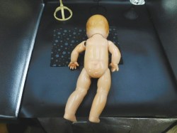 compo baby marg nude bk